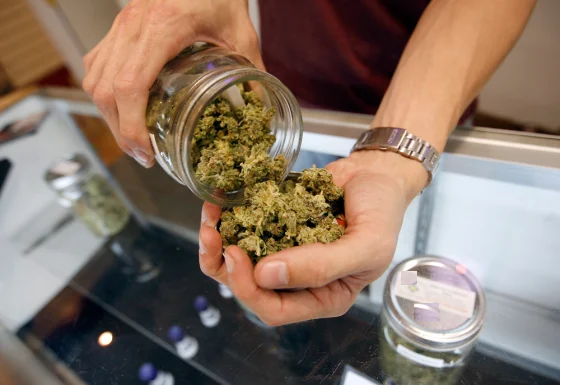 Cannabis Shop near me