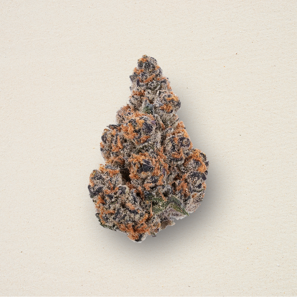 King Louie XIII