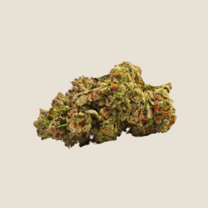 Lemon Cherry Gelato Exotic Marijuana Strain