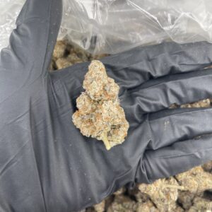 Winter Sunrise Strain