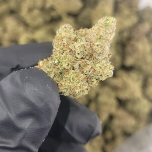 Gorilla Glue 4