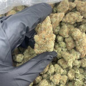Super Lemon Haze