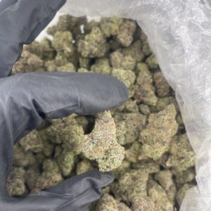 Blueberry Gelato
