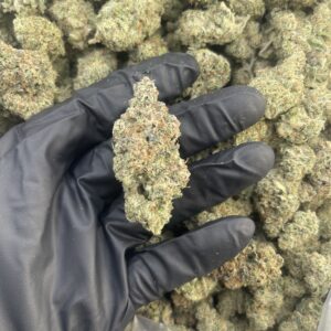 Blueberry Sugar